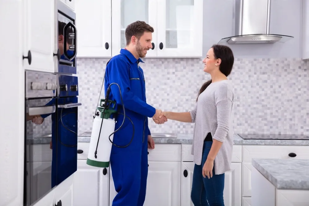 Pest Control Experts - Norco Best Pest Pros | Norco, CA